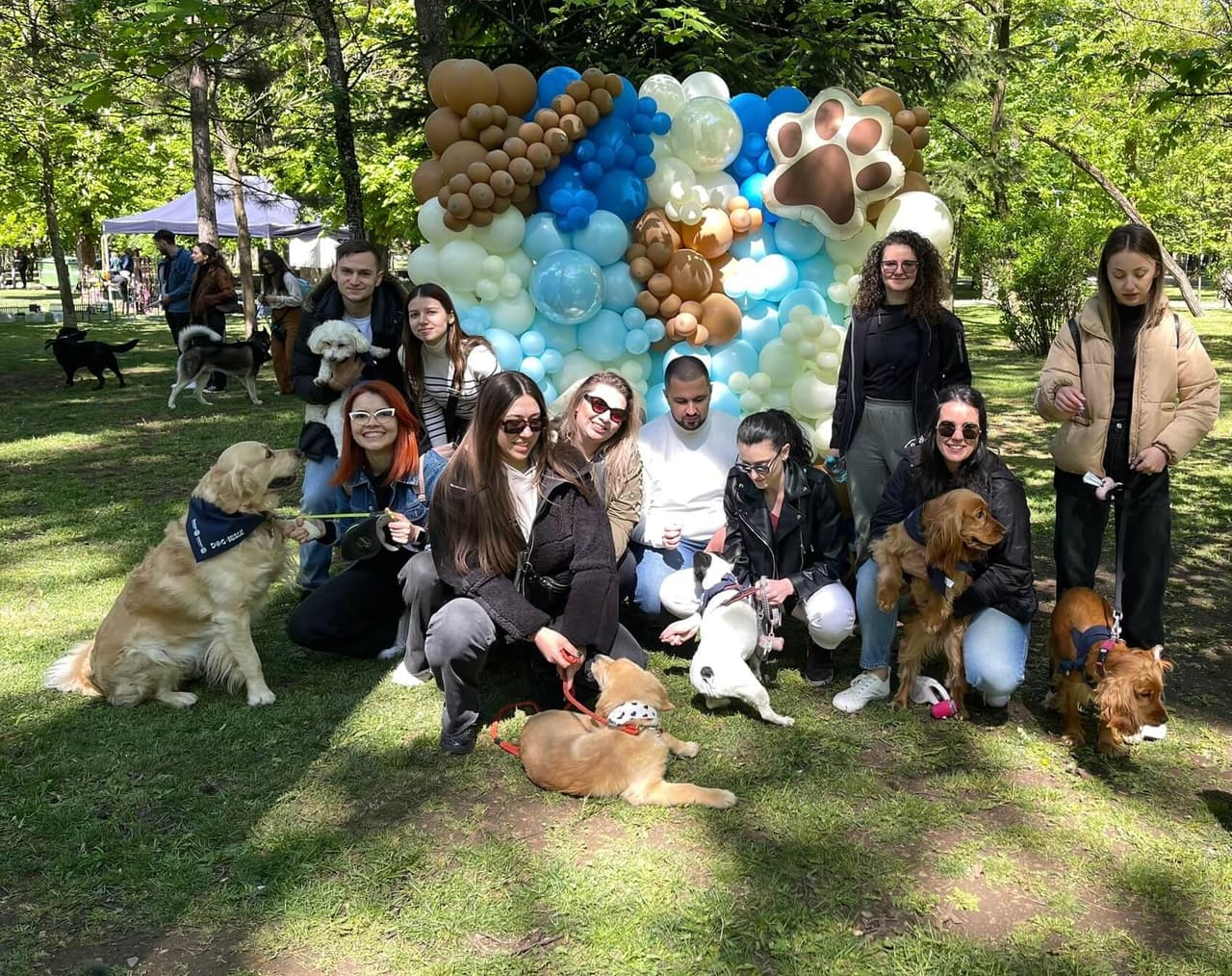 Dog Walk 2024
